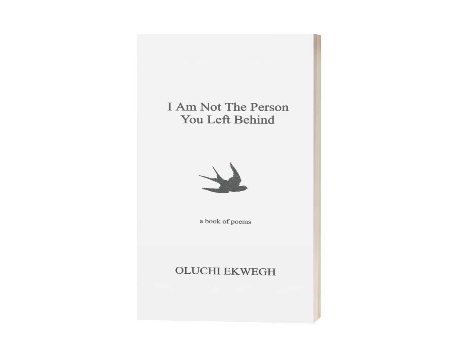 Cover of I Am Not The Person You Left Behind